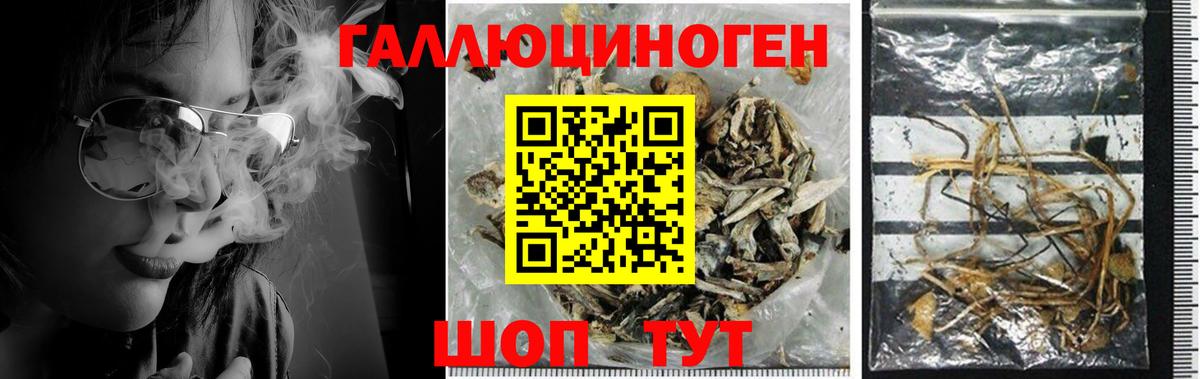 Белебей  Галлюциногенные грибы Cubensis  Вход с VPN  Псилоцибиновые грибы Magic Shrooms 
